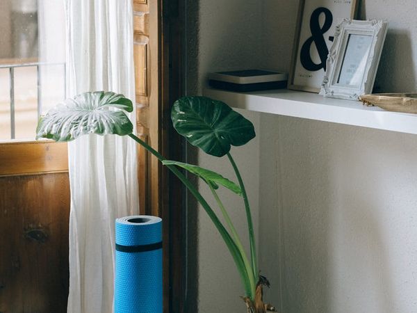 A cozy and minimalist corner of a room with a yoga mat, plant, and soft light.